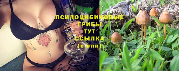 мяу мяу мука Дмитров