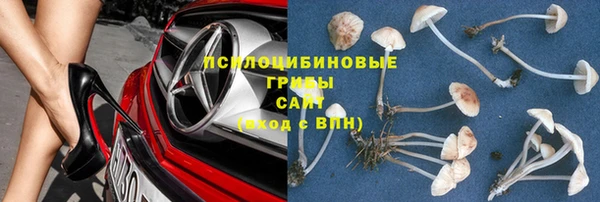 мяу мяу мука Дмитров