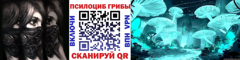 Псилоцибиновые грибы Magic Shrooms  Купить закладки  Вилючинск 